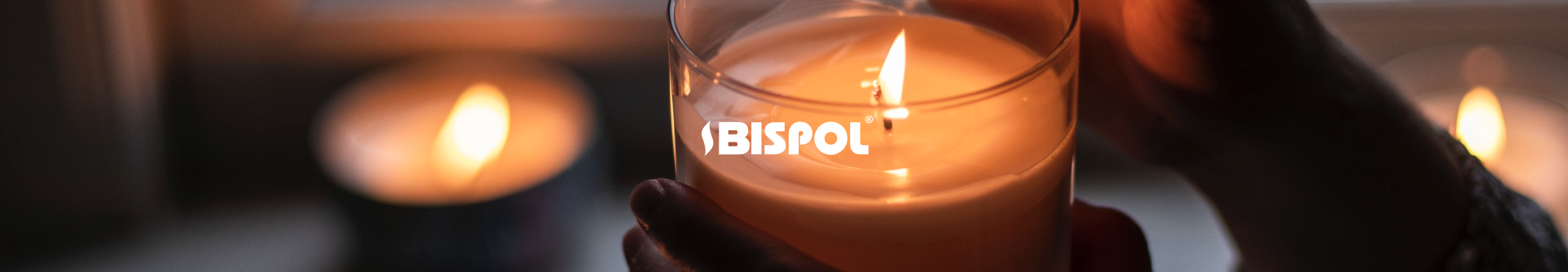 Bispol