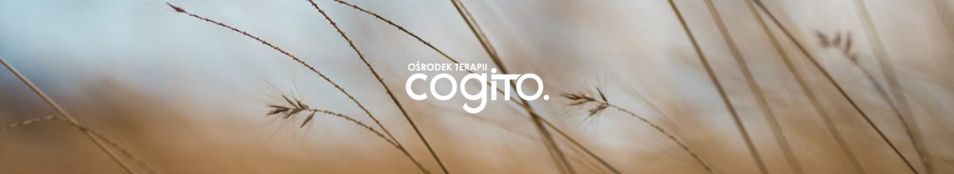 Cogito